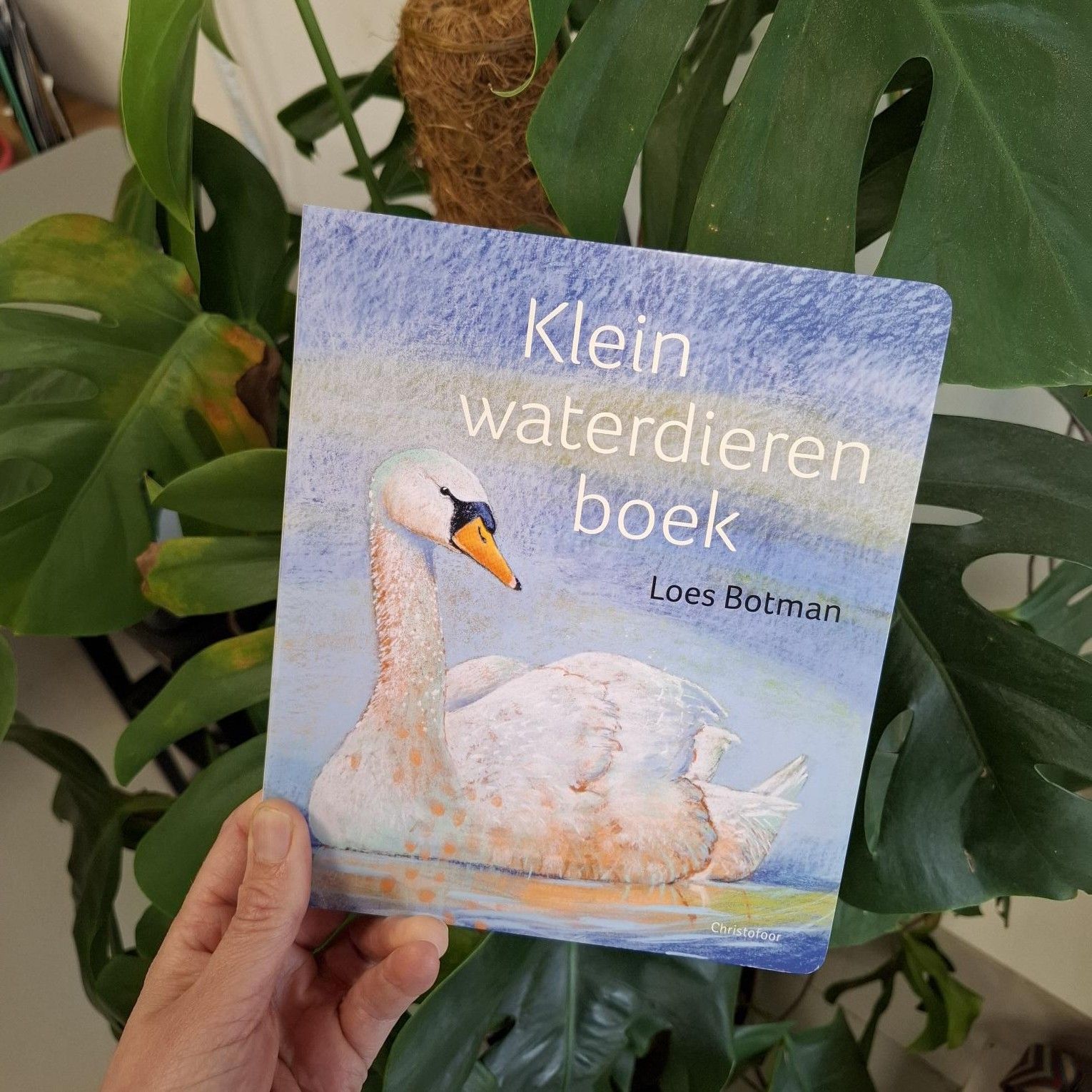 Kartonboeken 