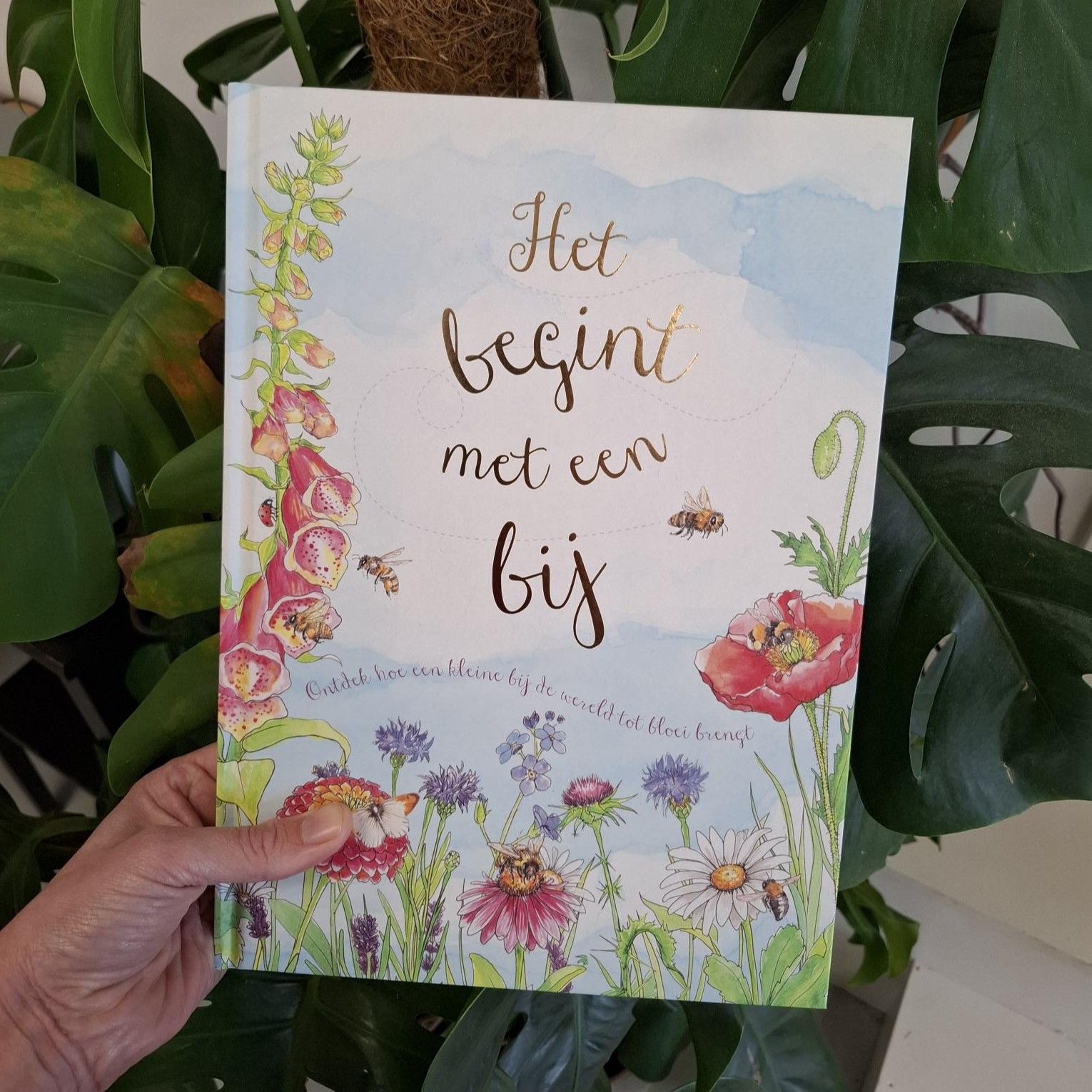 Natuur en seizoenen 