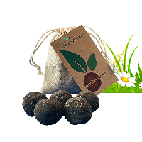 Zaadbommen Madeliefjesmix