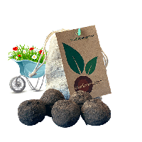 Zaadbommen Wildbloemenmix (5 stuks)