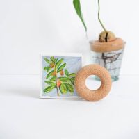 Avocado zwemband van Pepin om je avocadopit uit te laten groeien tot een avocadoboom