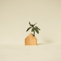 Houten vaasje zonder glas Nr. 07 Wooden Story