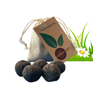 Zaadbommen Madeliefjesmix