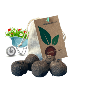 Zaadbommen Wildbloemenmix Bio
